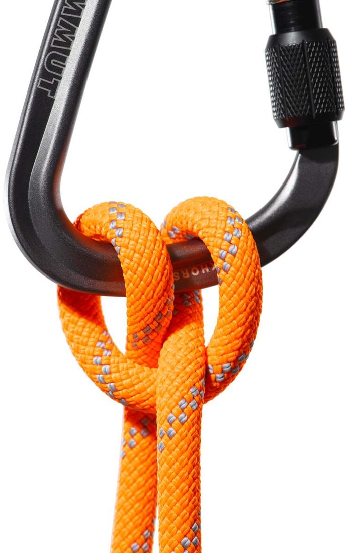 Mammut 9.5 Alpine Dry Rope - Dry Standard - Safety Orange/Zen - 70 m ...