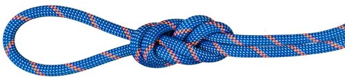 Mammut 7.5 Alpine Sender Dry Rope - Dry Standard - Blue/Safety Orange - 60 m