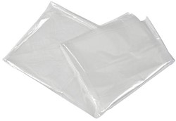 Bo-Camp Bodenplane - LPDE - Transparent - 4x4 Meter