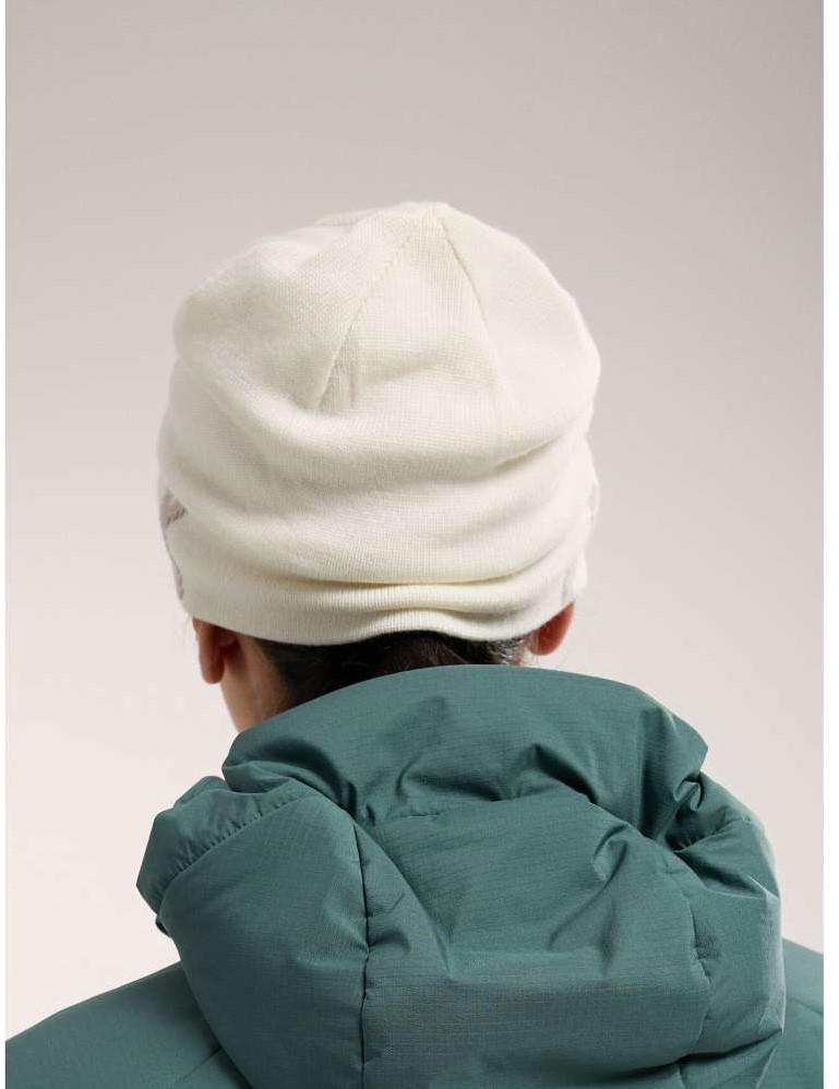 Arc'teryx Word Head Toque - Black Sapphire Twinseasons AT