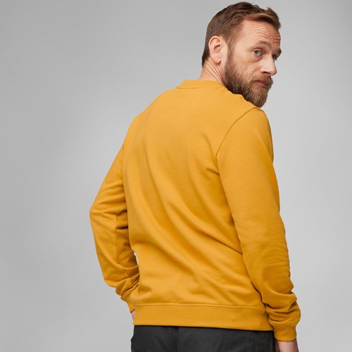 Fjällräven 1960 Logo Badge Sweater M 