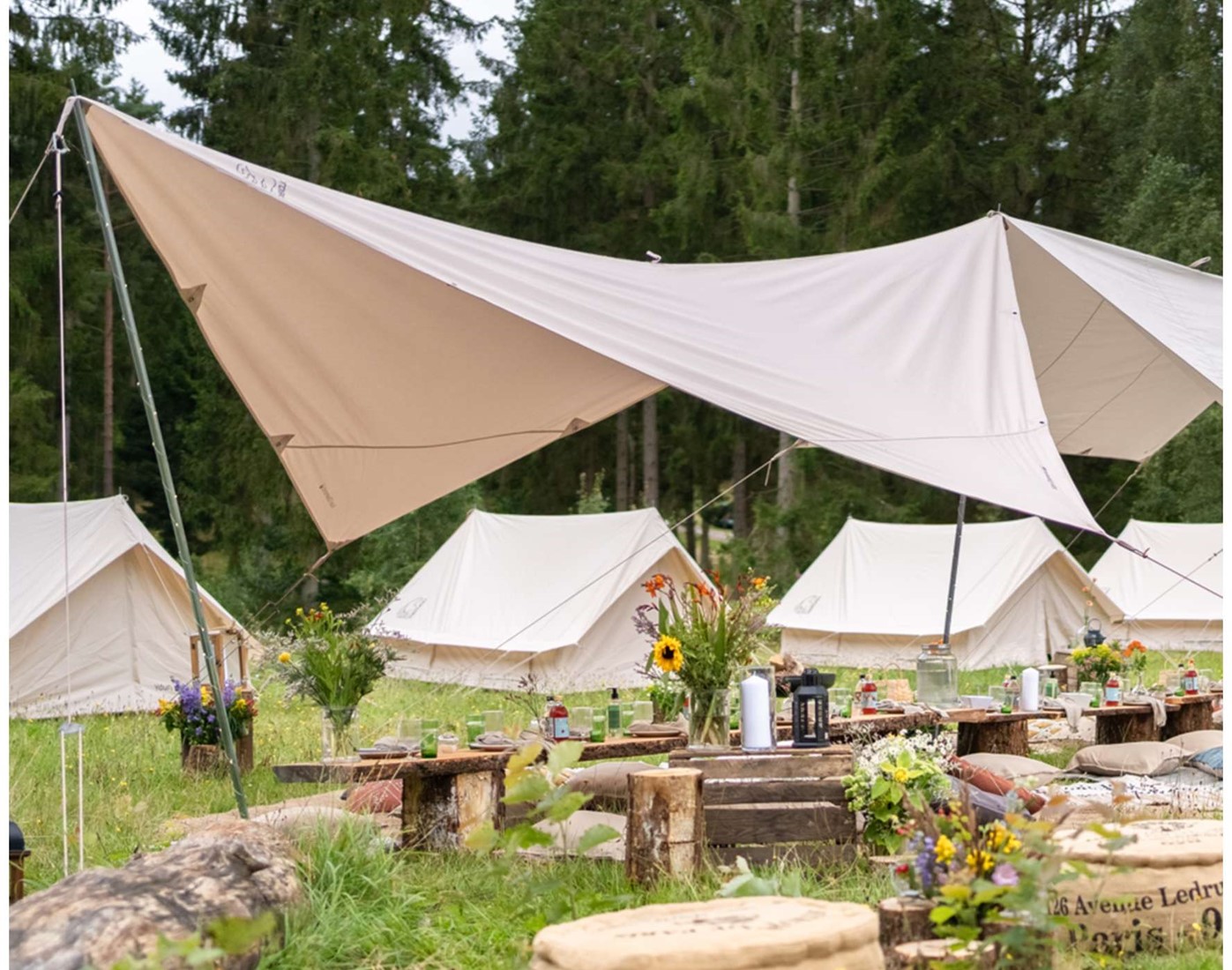 nordisk-kari-20-diamond-basic-