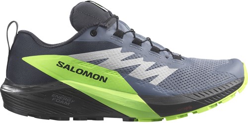 Salomon Sense Ride 5 GTX - Flint Stone/Black/Green Gecko - 45 1/3 (UK 10.5)