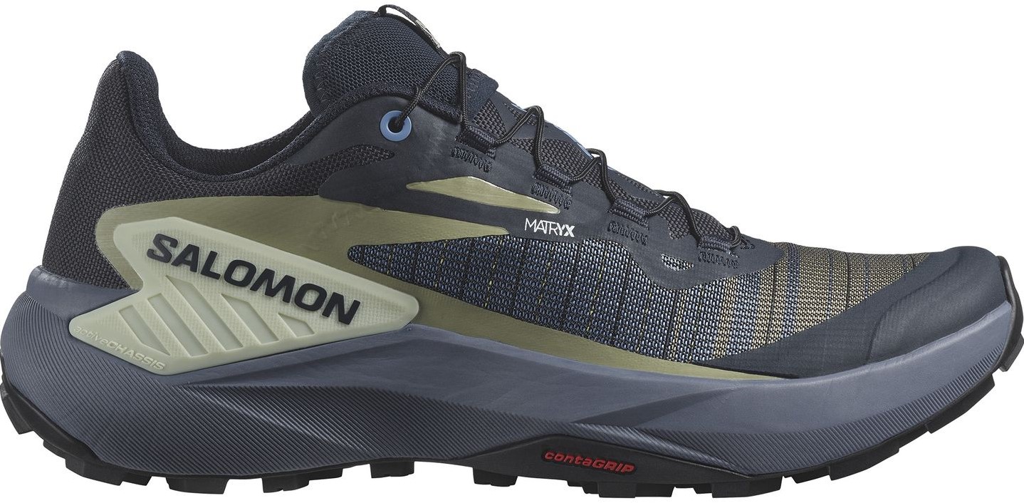salomon carbon