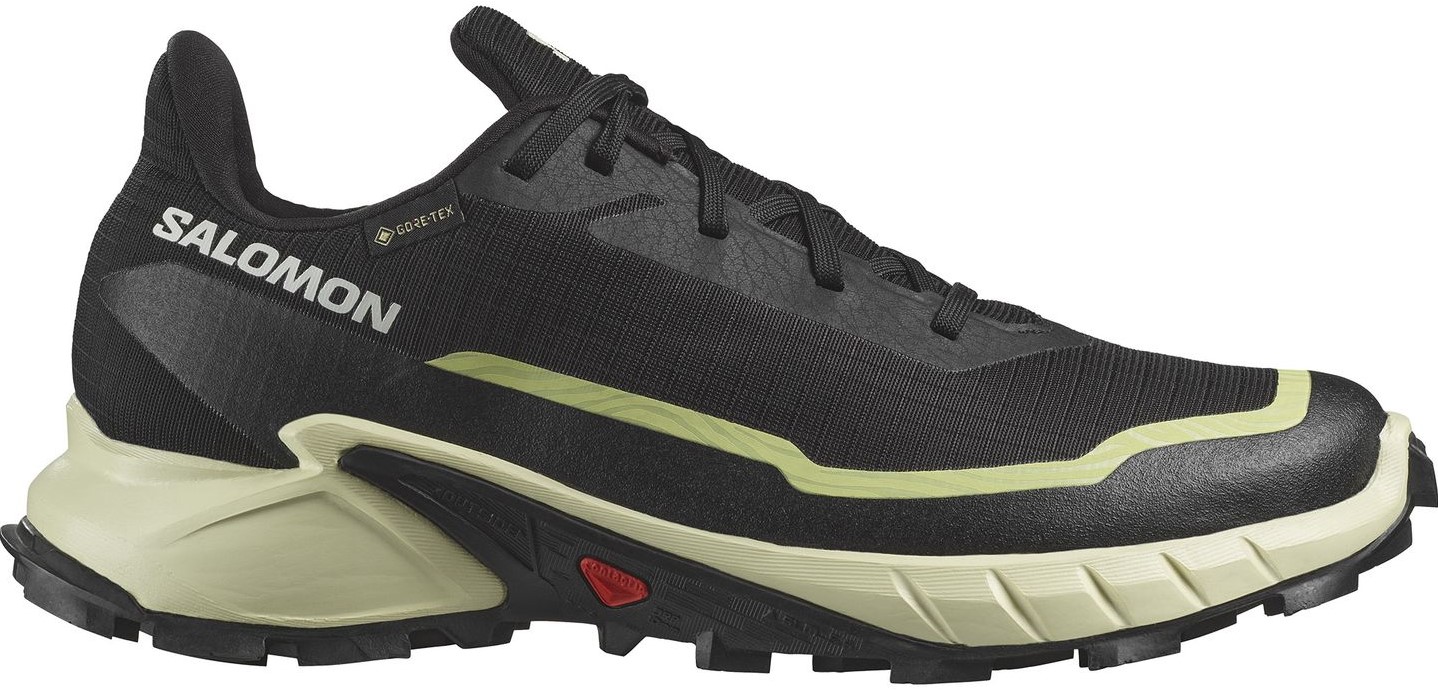 Salomon alphacross 39 cheap