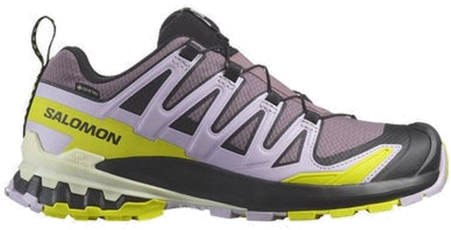 Salomon xa pro 3d gtx uk 2025