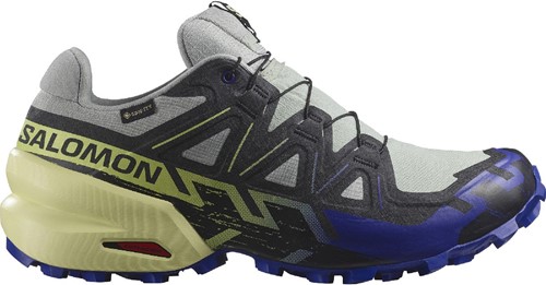 Salomon Speedcross 6 GTX - Wrought Iron/Clematis Blue/Sharp Green - 42 (UK 8)
