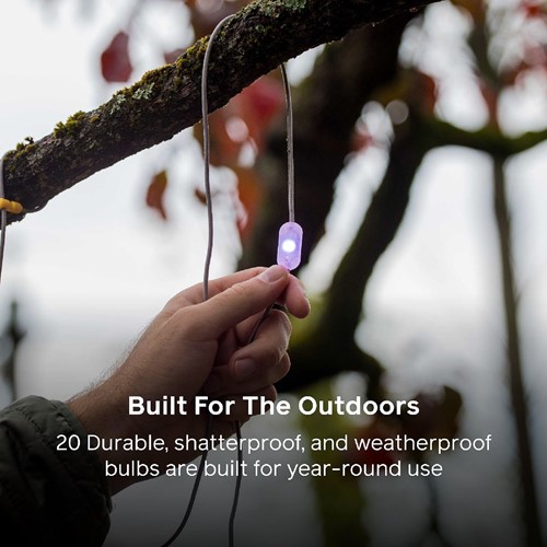 Biolite Solar String 44 - Color